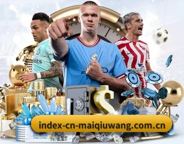 买球网 APP 深度功能(maiqiuwang)