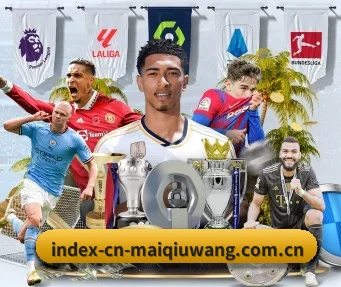 AI 革新 | maiqiuwang